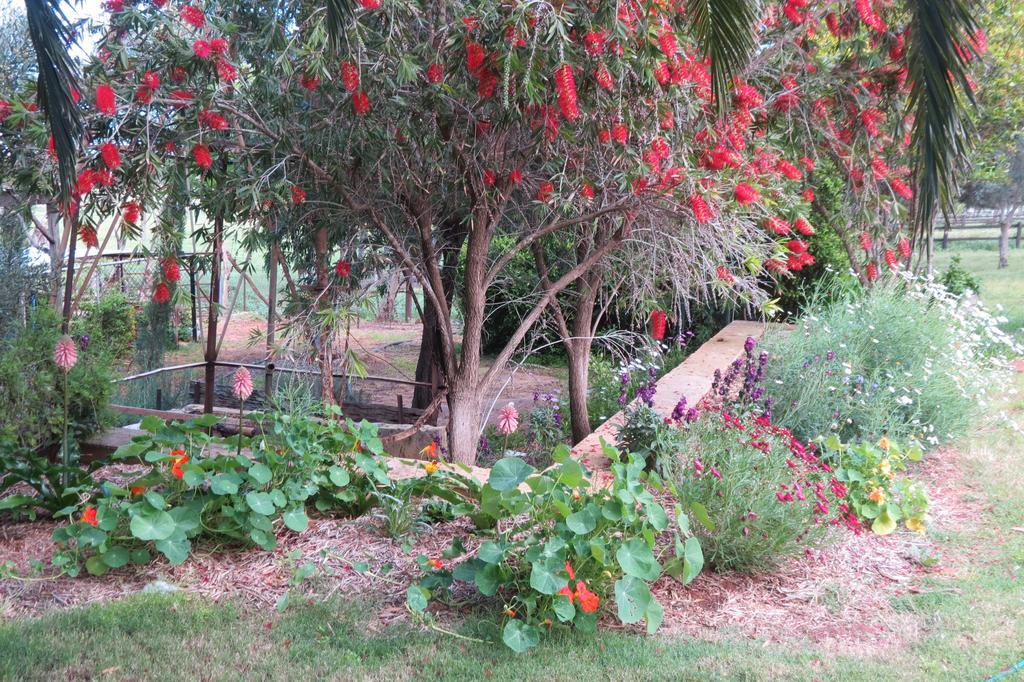 Bentwood Olive Grove Accommodation Greenough Zimmer foto